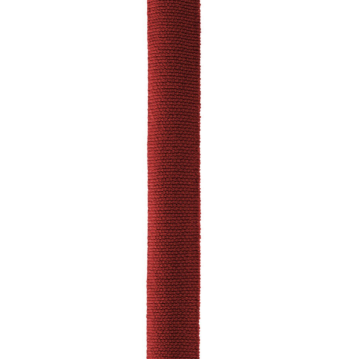 ELASTICA